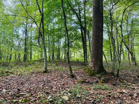 0 Barbecue Rd, Dickson, TN 37055 photo 6