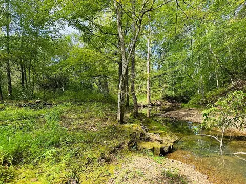 0 Barbecue Rd, Dickson, TN 37055 photo 1