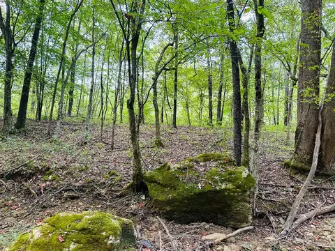 0 Barbecue Rd, Dickson, TN 37055 photo 7