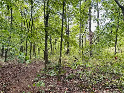 0 Barbecue Rd, Dickson, TN 37055 photo 16