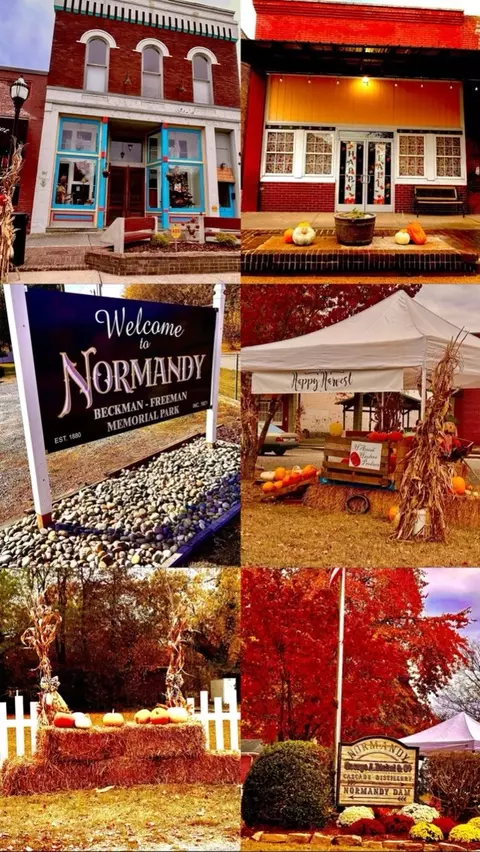 357 Grand View Cir, Normandy, TN 37360 photo 48
