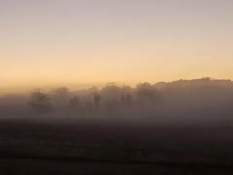 229 W Piney Rd, Dickson, TN 37055 photo 53