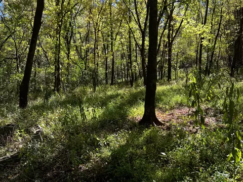 0 Gardner Rd, Prospect, TN 38477 photo 27