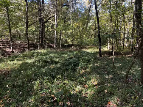 0 Gardner Rd, Prospect, TN 38477 photo 22