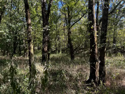 0 Gardner Rd, Prospect, TN 38477 photo 20