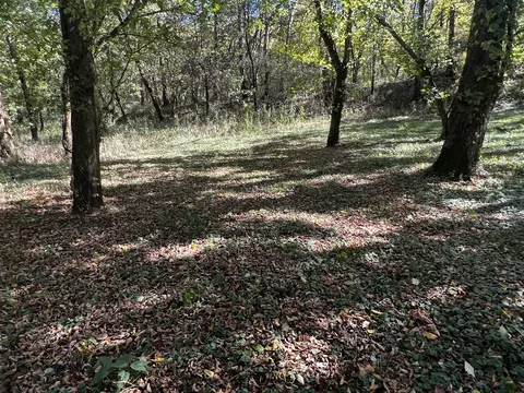 0 Gardner Rd, Prospect, TN 38477 photo 17