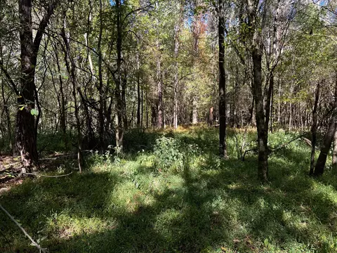 0 Gardner Rd, Prospect, TN 38477 photo 24