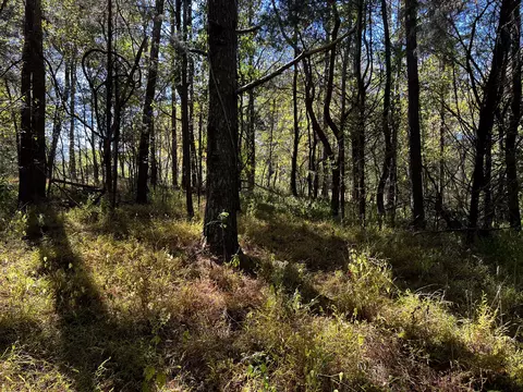 0 Gardner Rd, Prospect, TN 38477 photo 15