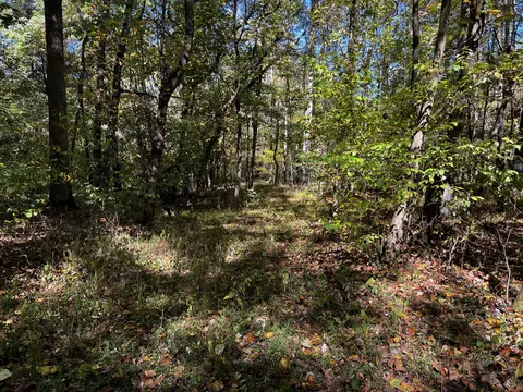 0 Gardner Rd, Prospect, TN 38477 photo 21