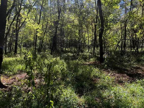 0 Gardner Rd, Prospect, TN 38477 photo 28