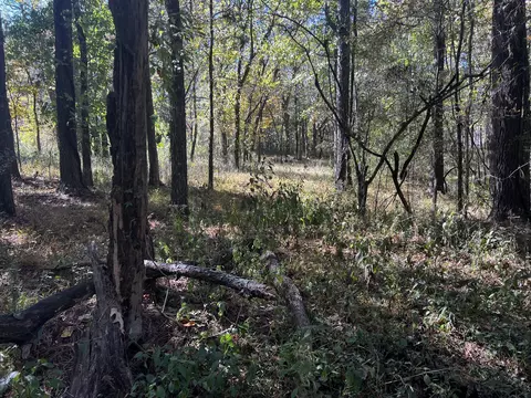 0 Gardner Rd, Prospect, TN 38477 photo 26