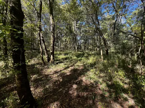 0 Gardner Rd, Prospect, TN 38477 photo 16