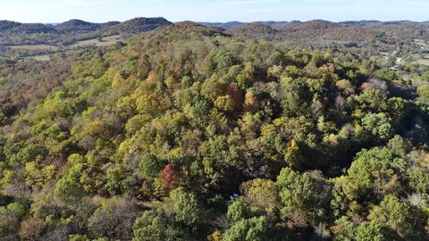 0 Snake Hollow Rd, Hartsville, TN 37074