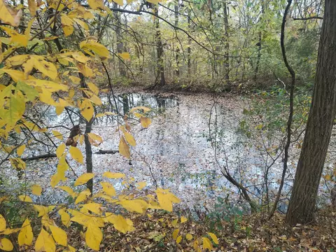 977 Statesville Rd, Watertown, TN 37184