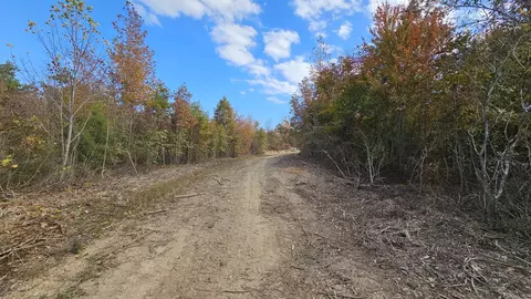 0 Old Hwy 13 #LOT 3, Hurricane Mills, TN 37078