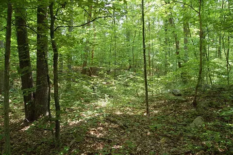 10 Red Rock, Dunlap, TN 37327