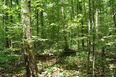 11 Red Rock, Dunlap, TN 37327