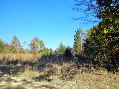 0 Highway 13 N, Waverly, TN 37185