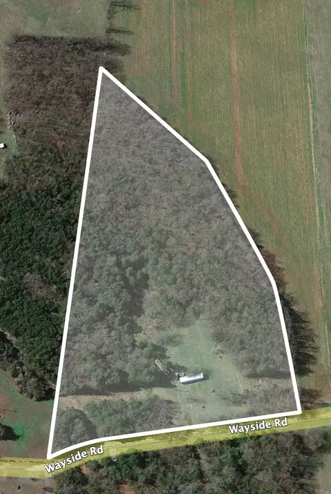 7384 Wayside Rd, Christiana, TN 37037