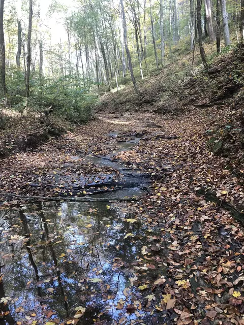 0 Conns Ln, Lafayette, TN 37083
