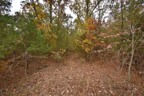 0 Fire Tower Rd, Linden, TN 37096