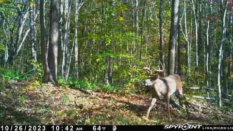 0 Old St Rt 76, Dover, TN 37058