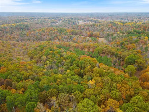 0 Wallace Rd, Fairview, TN 37062 photo 3