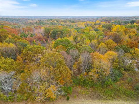 0 Wallace Rd, Fairview, TN 37062 photo 4