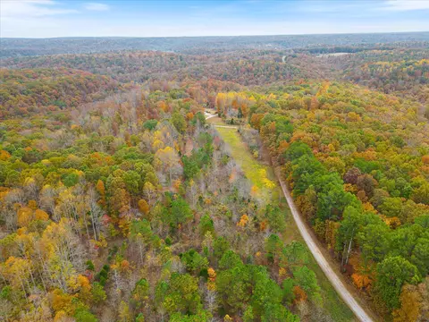 0 Wallace Rd, Fairview, TN 37062 photo 5