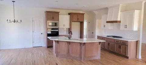 132 Bruce Meadows Dr, Beechgrove, TN 37018 photo 3