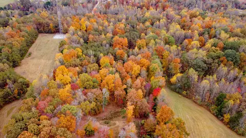 8189 Smithville Hwy, Sparta, TN 38583