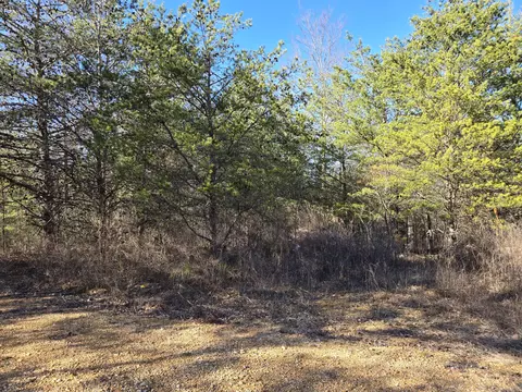 0 Bluff Point Rdg, Waverly, TN 37185