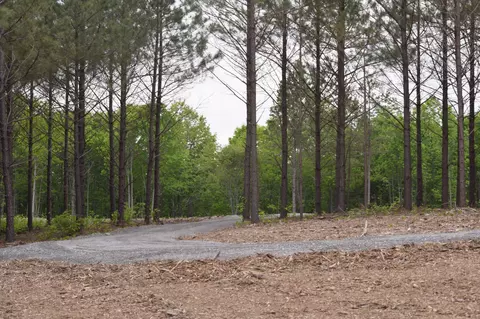 19 Chestnut Dr, Linden, TN 37096