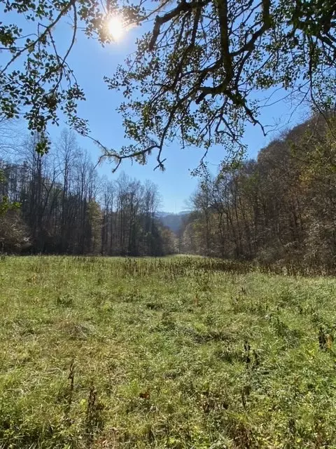 6135 Mill Creek Rd, Monterey, TN 38574