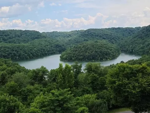 56 Nadia Ln, Smithville, TN 37166