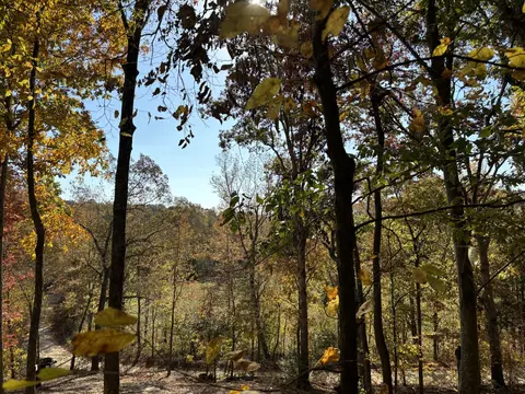 230 Roberts Creek Rd, Waverly, TN 37185
