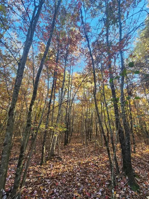 86 5th Dr, Altamont, TN 37301
