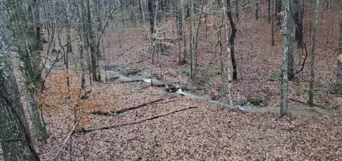 0 New Hope Rd, Five Points, TN 38457 photo 6