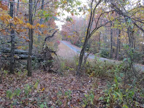 0 Ingman Cliff Rd, Tracy City, TN 37387