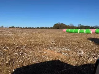 0 Pleasant Ridge Rd And Prince L, Huntland, TN 37345