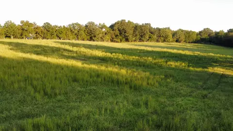 0 Eljie Rd And Hwy 48 - Tract 5, Cumberland Furnace, TN 37051