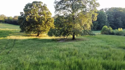 0 Eljie Rd And Hwy 48 - Tract 6, Cumberland Furnace, TN 37051