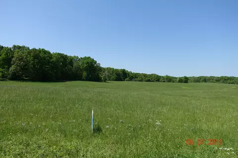 9017 Locust Creek Ln, Primm Springs, TN 38476