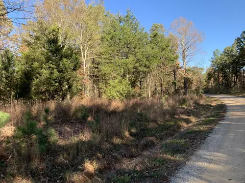 0 Nubbin Ridge Rd, Middleton, TN 38052