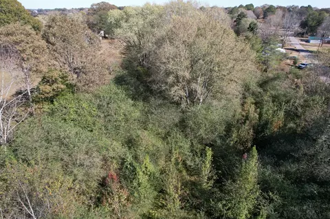 0 Vine Cir, Loretto, TN 38469 photo 7