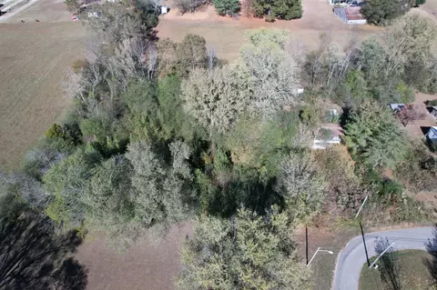 0 Vine Cir, Loretto, TN 38469 photo 6