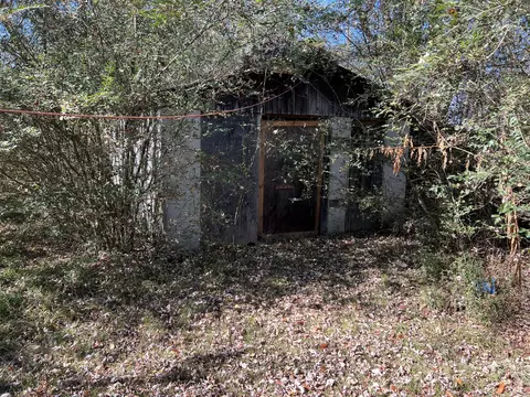 0 Vine Cir, Loretto, TN 38469 photo 10