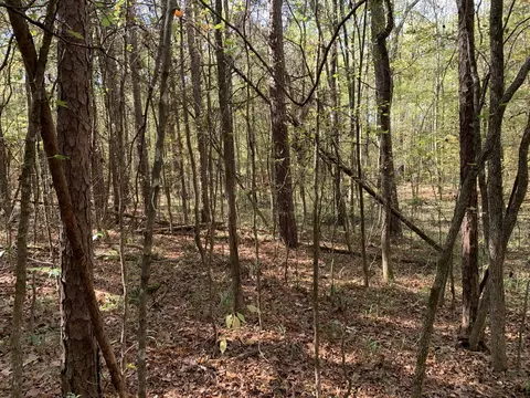 0 Muddy Ridge Rd, Pocahontas, TN 38061