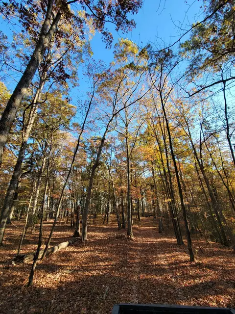2299 Eagle Rock Rd, Monteagle, TN 37356 photo 17