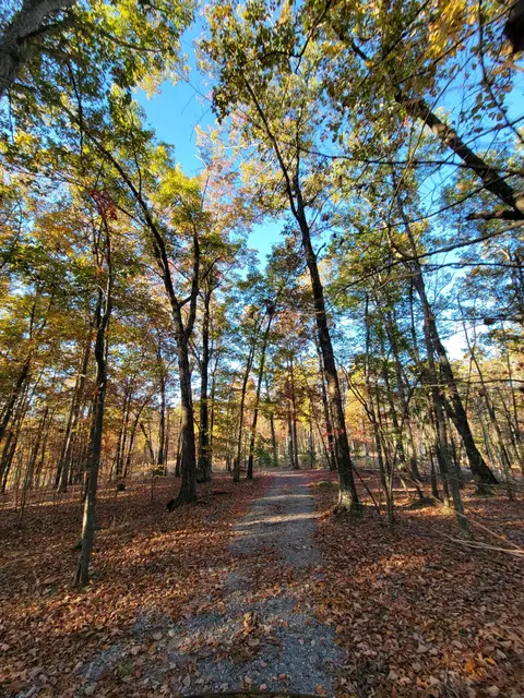 2299 Eagle Rock Rd, Monteagle, TN 37356 photo 19